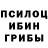Галлюциногенные грибы прущие грибы Daria D.B.