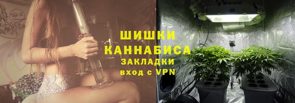 хмурый Фурманов