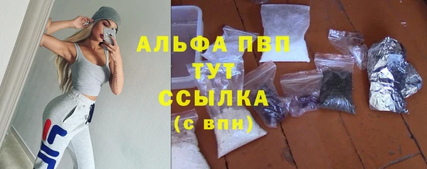 хмурый Фурманов