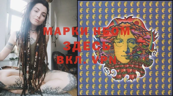 хмурый Фурманов